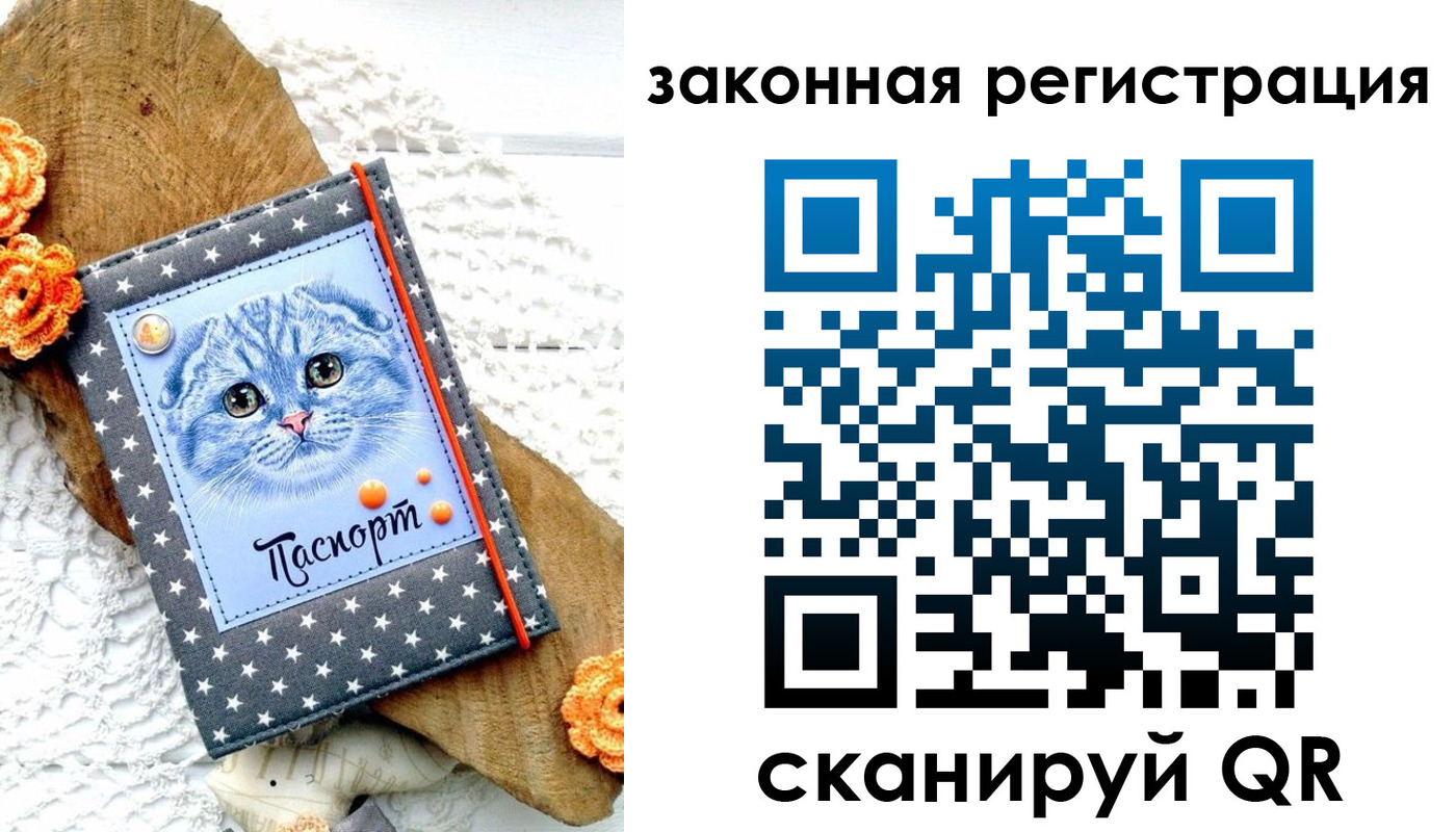 регистрация в Славгороде
